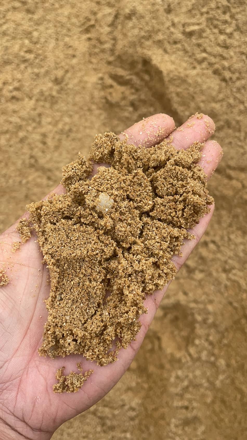纯天然河沙手捧实拍，颗粒均匀含泥量低